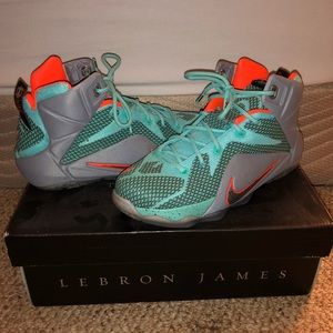 Nike Lebron James basketball sneakers